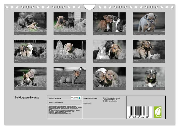 Produktbild: Bulldoggen-Zwerge (Wandkalender 2026 DIN A4 quer), CALVENDO Monatskalender