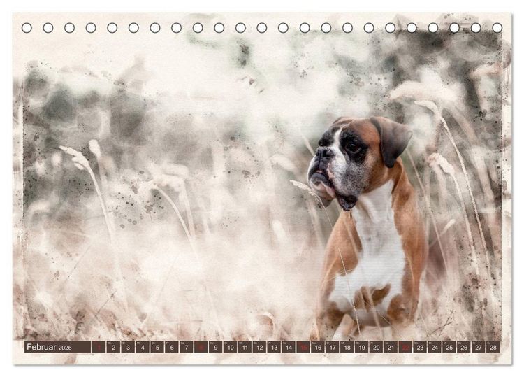 Produktbild: Boxer Photo&Kunst (Tischkalender 2026 DIN A5 quer), CALVENDO Monatskalender