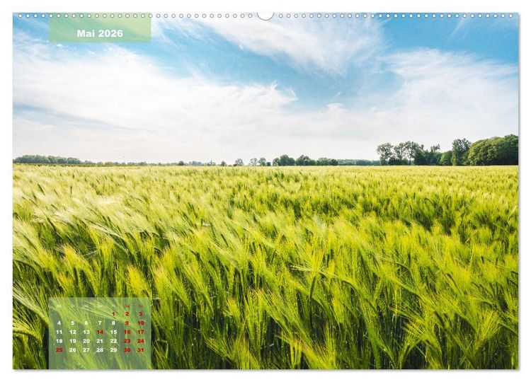 Produktbild: Ein Jahr Niederrhein Momente der Natur (Wandkalender 2026 DIN A2 quer), CALVENDO Monatskalender