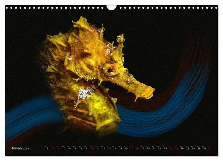 Produktbild: Artwork Unterwasser - Erlebnis Tauchen (Wandkalender 2026 DIN A3 quer), CALVENDO Monatskalender