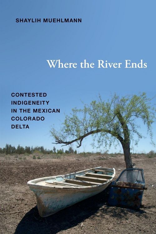 Produktbild: Where the River Ends