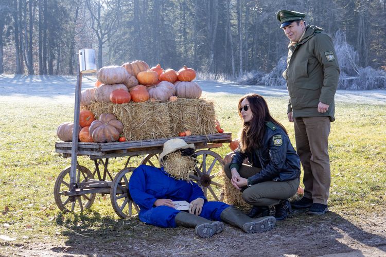 Produktbild: 2Hubert ohne Staller - Staffel 12 [2 BRs]