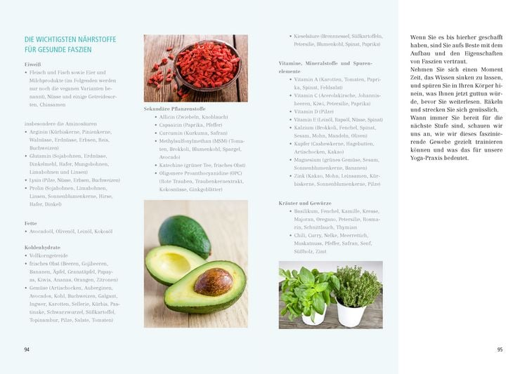 Produktbild: Das gro&szlig;e Faszien-Yoga Buch