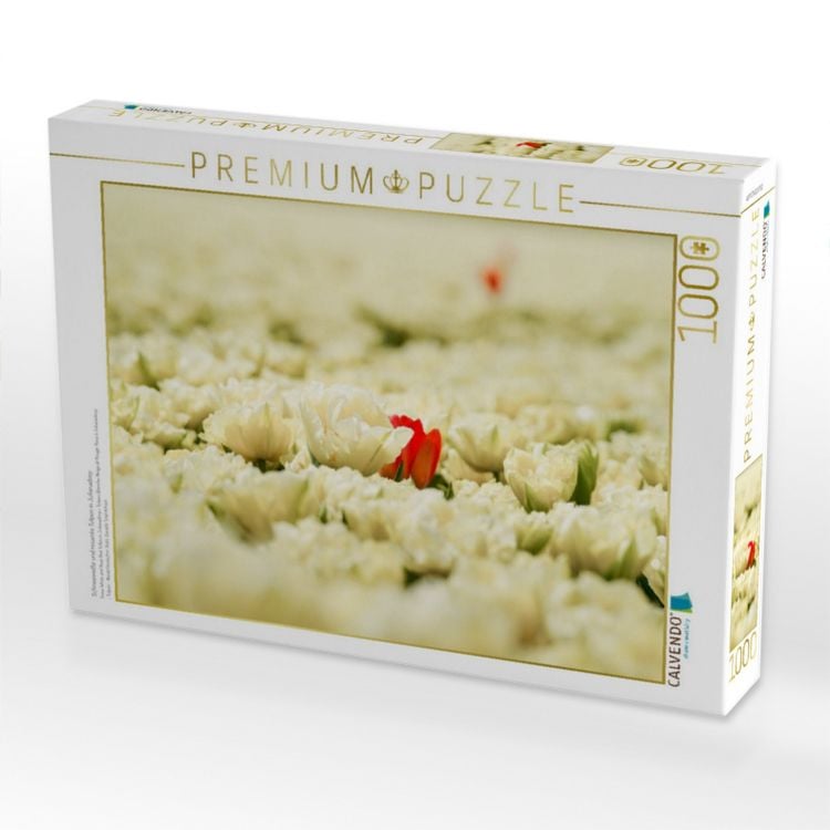 Produktbild: CALVENDO Puzzle Schneewei&szlig;e und rosarote Tulpen in Julianadorp | 1000 Teile Lege-Gr&ouml;&szlig;e 64x48cm Foto-Puzzle f&uuml;r gl&uuml;ckliche Stunden