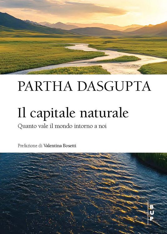 Produktbild: Il capitale naturale. Quanto vale il mondo intorno a noi