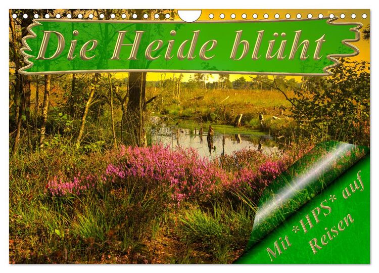 Produktbild: Die Heide bl&uuml;ht (Wandkalender 2026 DIN A4 quer), CALVENDO Monatskalender