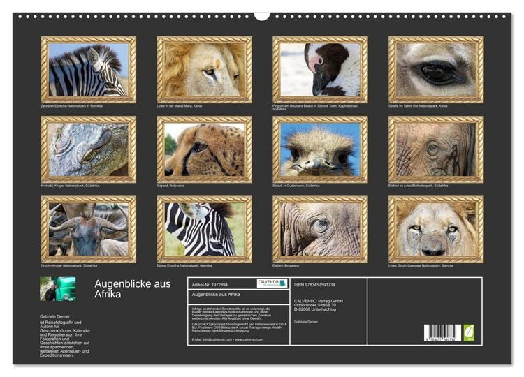 Produktbild: Augenblicke aus Afrika (Wandkalender 2026 DIN A2 quer), CALVENDO Monatskalender