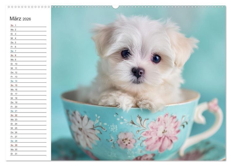Produktbild: Hundegl&uuml;ck (Wandkalender 2026 DIN A2 quer), CALVENDO Monatskalender