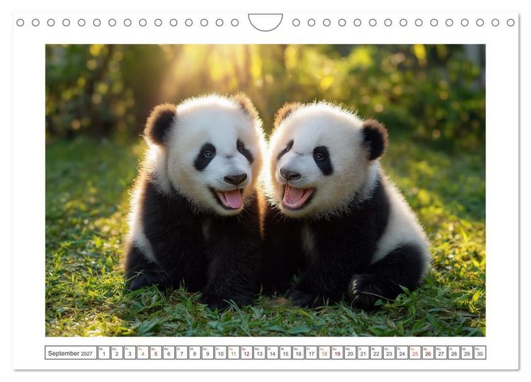 Produktbild: Panda Magie (Wandkalender 2027 DIN A4 quer), CALVENDO Monatskalender