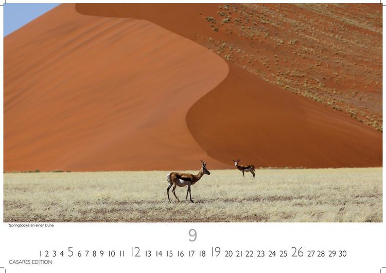 Produktbild: Namibia Kalender 2027 &ndash; Wandkalender | Fotokalender Afrika 24x35 cm - . mit atemberaubenden Landschaftsfotos und der Tierwelt.