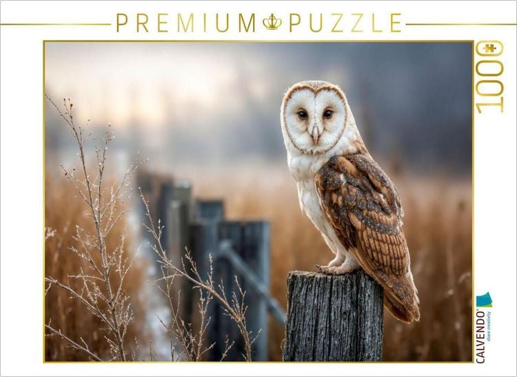 Produktbild: CALVENDO Puzzle Die Schleiereule, lautlos und anmutig | 1000 Teile Lege-Gr&ouml;&szlig;e 64x48cm Foto-Puzzle f&uuml;r gl&uuml;ckliche Stunden