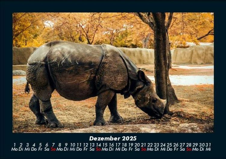 Produktbild: Tiere in der Wildnis 2025 Fotokalender DIN A5