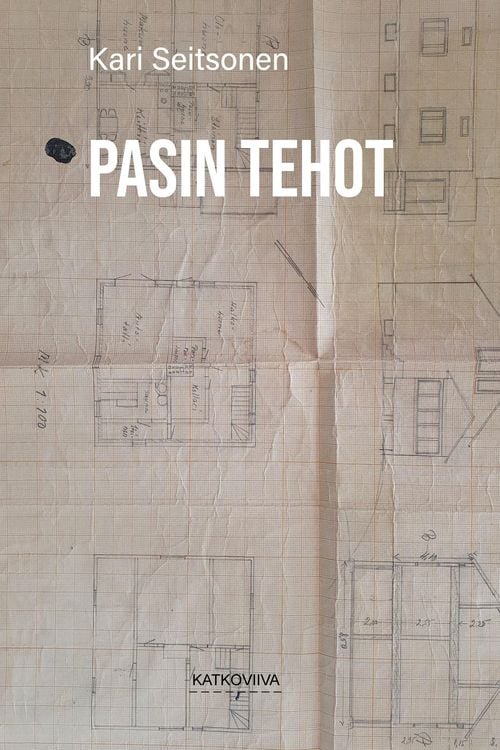 Produktbild: Pasin tehot