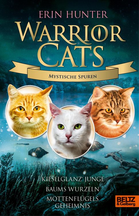 Produktbild: Warrior Cats - Mystische Spuren