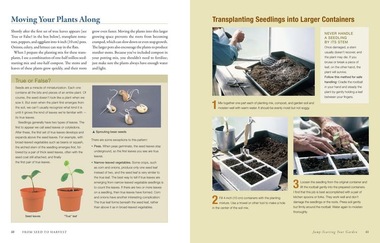 Produktbild: The Vegetable Gardener's Bible, 2nd Edition