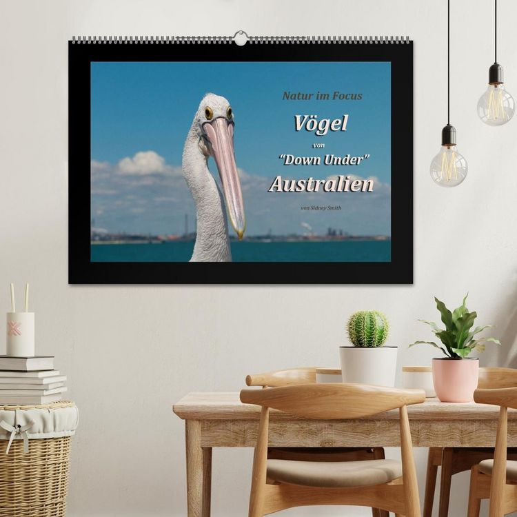 Produktbild: V&ouml;gel von "Down Under" Australien (Wandkalender 2027 DIN A2 quer), CALVENDO Monatskalender