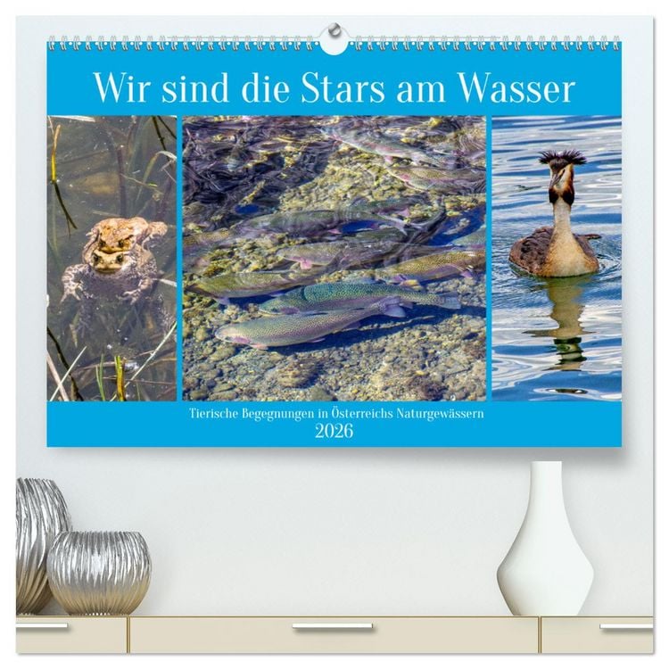 Produktbild: Wir sind die Stars am Wasser (hochwertiger Premium Wandkalender 2026 DIN A2 quer), Kunstdruck in Hochglanz