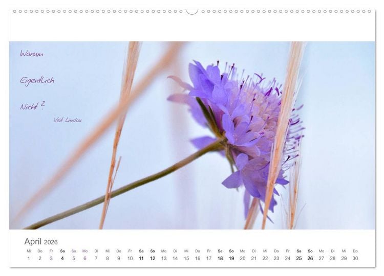 Produktbild: Rendezvous im Park (hochwertiger Premium Wandkalender 2026 DIN A2 quer), Kunstdruck in Hochglanz