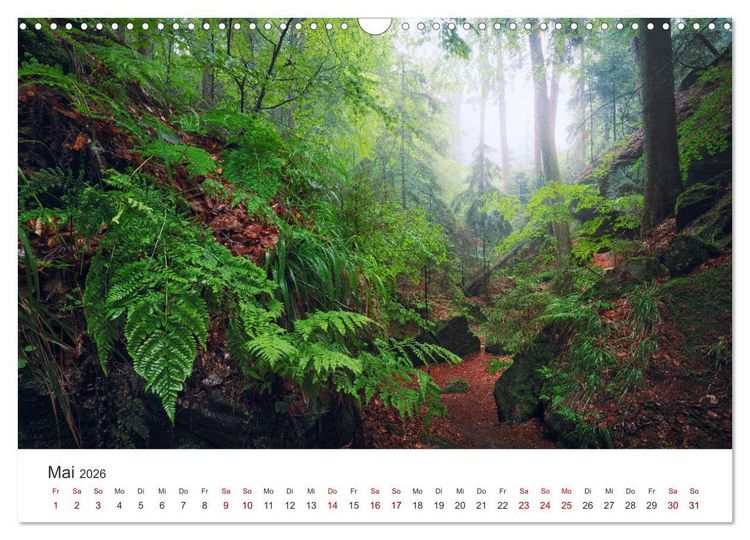 Produktbild: Fr&auml;nkische Schweiz &ndash; Zwischen Burgen, H&ouml;hlen und W&auml;ldern (Wandkalender 2026 DIN A3 quer), CALVENDO Monatskalender