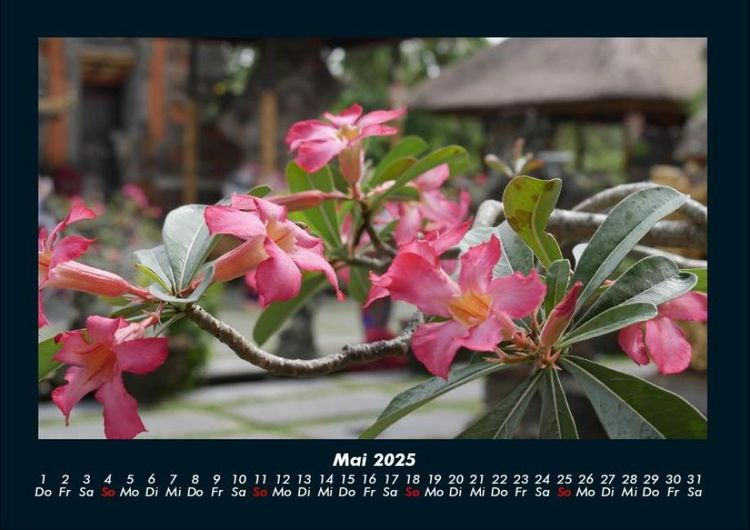 Produktbild: Blumenzauber 2025 Fotokalender DIN A4