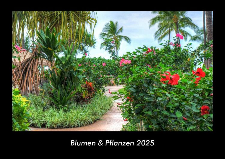 Produktbild: Blumen & Pflanzen 2025 Fotokalender DIN A3