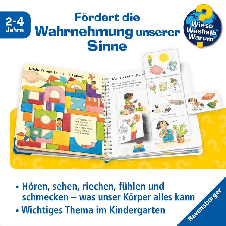 Produktbild: Wieso? Weshalb? Warum? junior, Band 36 - Sehen, riechen, h&ouml;ren
