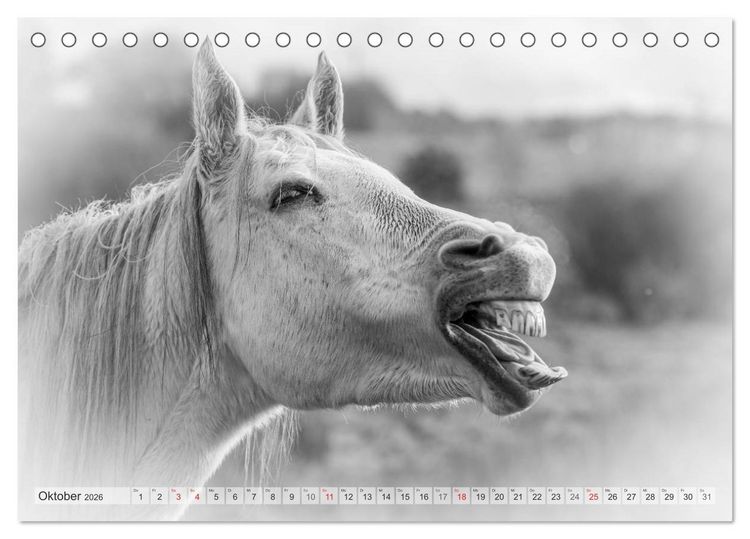 Produktbild: Emotionale Momente: Wei&szlig;e Pferde in schwarzwei&szlig;. (Tischkalender 2026 DIN A5 quer), CALVENDO Monatskalender