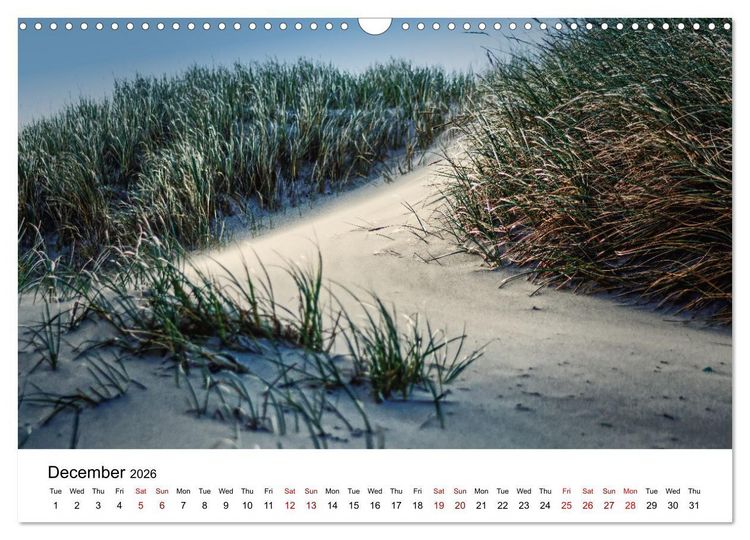 Produktbild: The Sea - A place for dreams (Wall Calendar 2026 DIN A3 landscape), CALVENDO 12 Month Wall Calendar