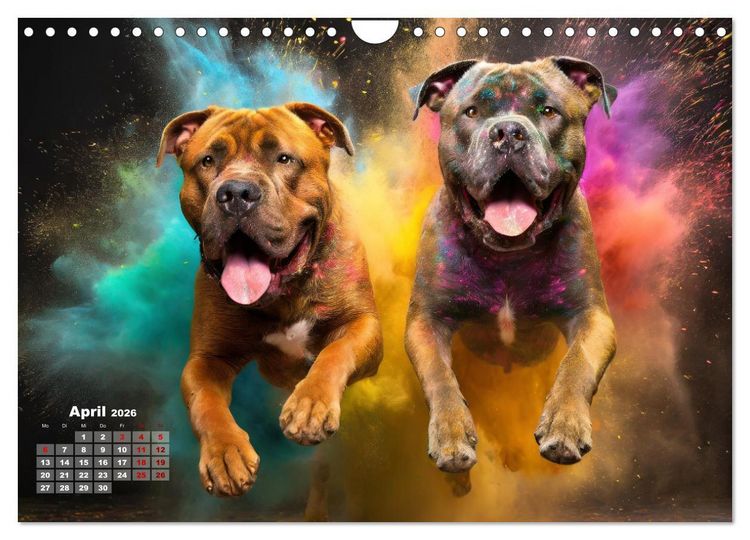 Produktbild: Holi Pulver - Doppelte Action (Wandkalender 2026 DIN A4 quer), CALVENDO Monatskalender