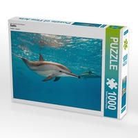 Produktbild: CALVENDO Puzzle Delfin | 1000 Teile Lege-Gr&ouml;&szlig;e 64x48cm Foto-Puzzle f&uuml;r gl&uuml;ckliche Stunden