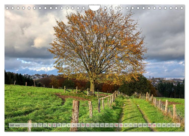 Produktbild: Idyllische Wanderwege im Bergischen Land (Wandkalender 2026 DIN A4 quer), CALVENDO Monatskalender