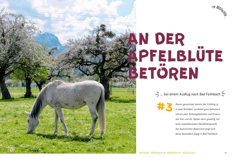Produktbild: 52 kleine & gro&szlig;e Eskapaden in den Bayerischen Alpen