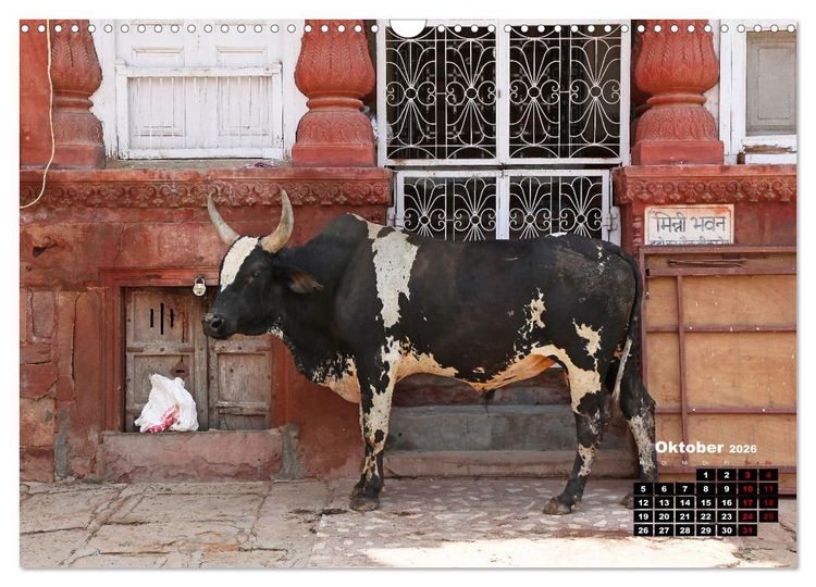 Produktbild: Typisch Indien - Unterwegs in Rajasthan (Wandkalender 2026 DIN A3 quer), CALVENDO Monatskalender
