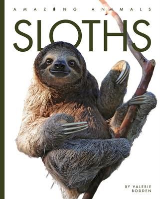 Produktbild: Sloths