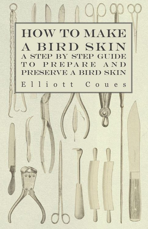 Produktbild: How to Make a Bird Skin - A Step by Step Guide to Prepare and Preserve a Bird Skin