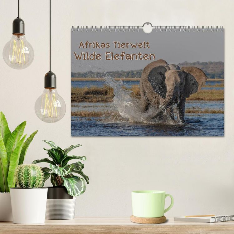 Produktbild: Afrikas Tierwelt - Wilde Elefanten (Wandkalender 2026 DIN A4 quer), CALVENDO Monatskalender