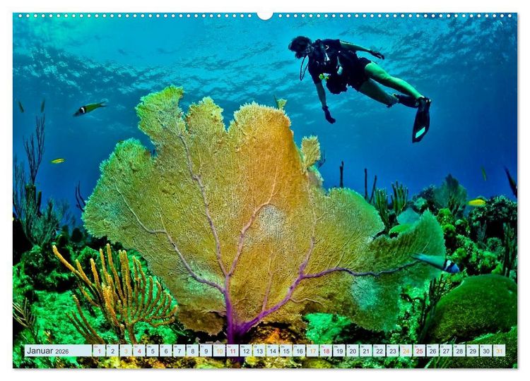 Produktbild: Tauchen - Abenteuer unter Wasser (hochwertiger Premium Wandkalender 2026 DIN A2 quer), Kunstdruck in Hochglanz