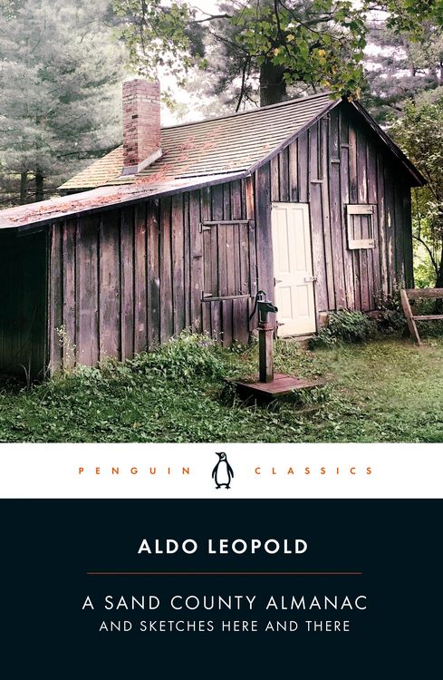 Produktbild: A Sand County Almanac