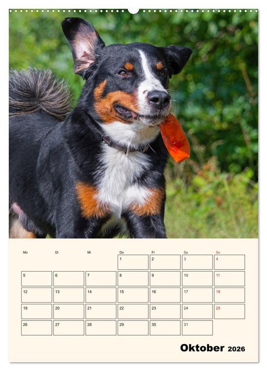 Produktbild: Appenzeller Sennenhund - Mit Plan durch das Jahr (hochwertiger Premium Wandkalender 2026 DIN A2 hoch), Kunstdruck in Hochglanz