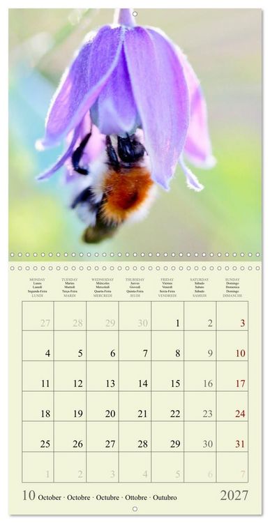 Produktbild: Petites fleurs color&eacute;es (Calendrier mural carr&eacute; 2027 30x30 cm) Calendrier double avec une page pour vos prises de notes