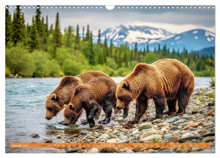Produktbild: Elche und B&auml;ren in Alaska (Wandkalender 2027 DIN A3 quer), CALVENDO Monatskalender