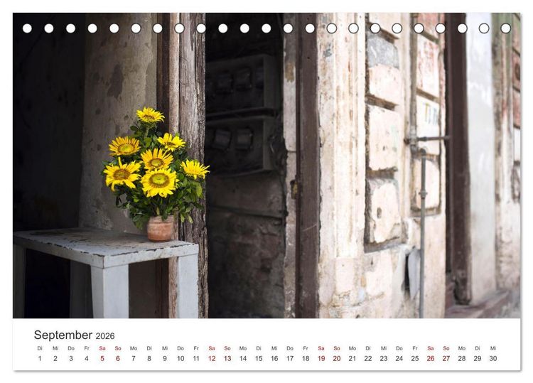 Produktbild: Sonnenblumen - Erstrahlen im freundlichen Gelb. (Tischkalender 2026 DIN A5 quer), CALVENDO Monatskalender