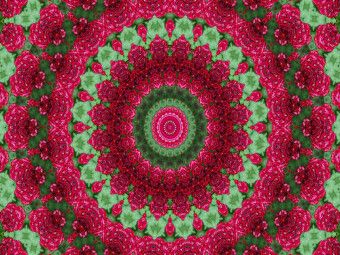 Produktbild: CALVENDO Puzzle Blumen Mandala - Kaleidoskop | 1000 Teile Lege-Gr&ouml;&szlig;e 64x48cm Foto-Puzzle f&uuml;r gl&uuml;ckliche Stunden