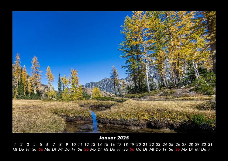 Produktbild: B&auml;ume 2025 Fotokalender DIN A3