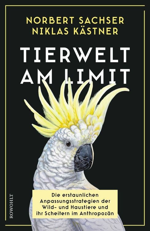 Produktbild: Tierwelt am Limit