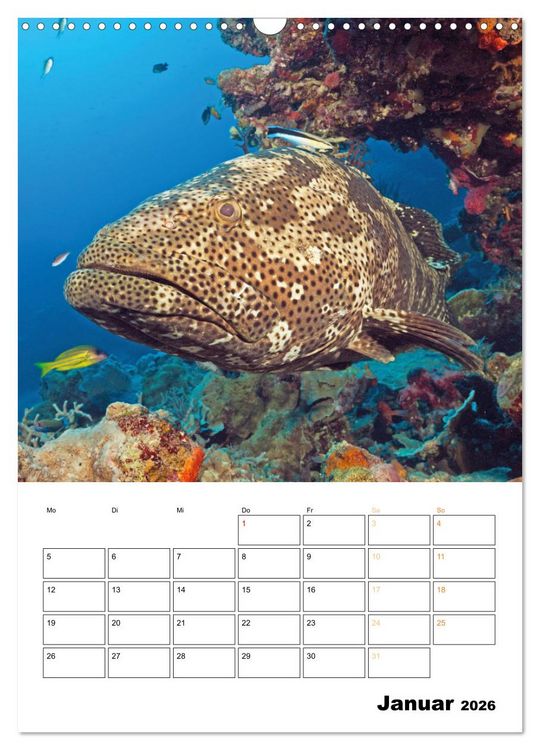 Produktbild: Farbrausch unter Wasser: Fische am Riff (Wandkalender 2026 DIN A3 hoch), CALVENDO Monatskalender