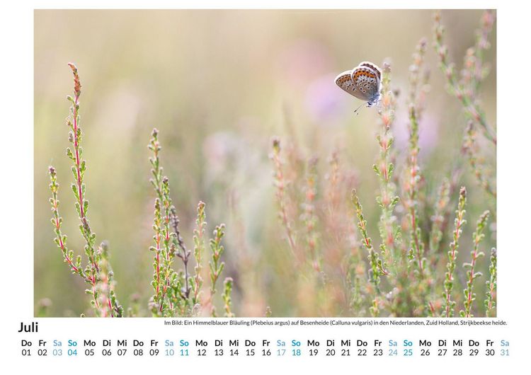 Produktbild: Flora und Fauna der Niederlande