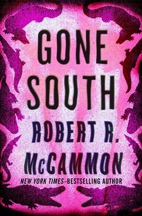 Produktbild: Gone South