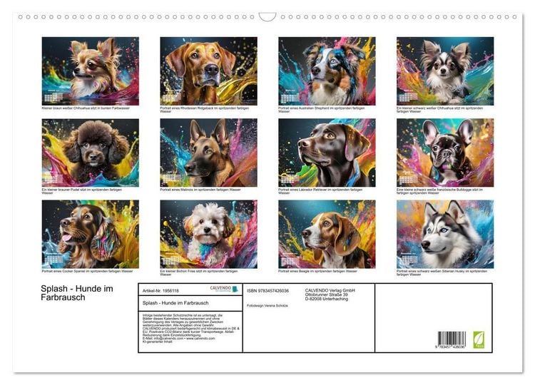 Produktbild: Splash - Hunde im Farbrausch (Wandkalender 2026 DIN A2 quer), CALVENDO Monatskalender