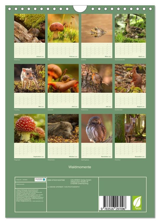 Produktbild: Waldmomente (Wandkalender 2026 DIN A4 hoch), CALVENDO Monatskalender